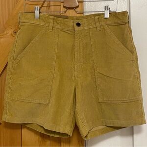 Patagonia Men's Tan Shorts